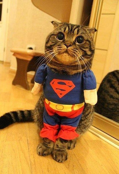 Неразочерую