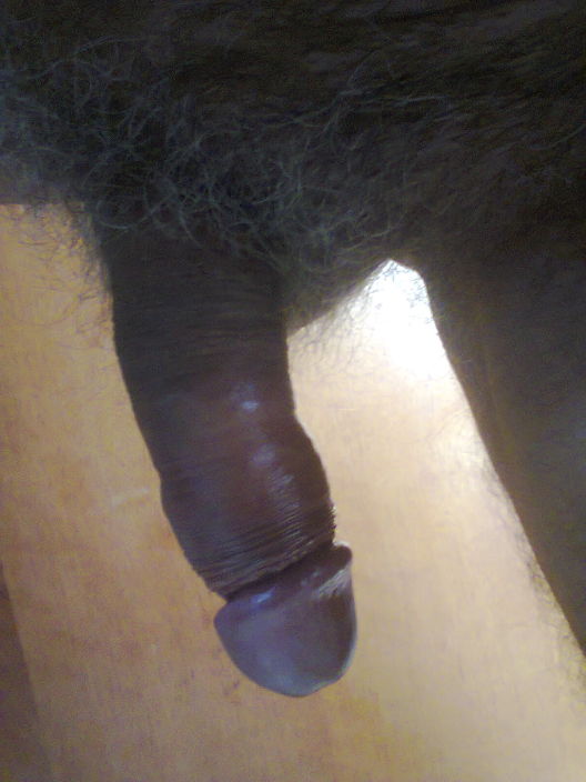 my cock