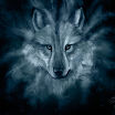 Wolfcloak