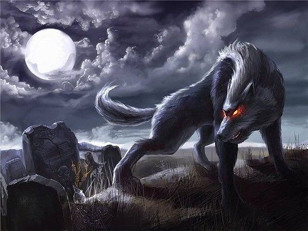 Wolfcloak