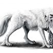 Wolfcloak