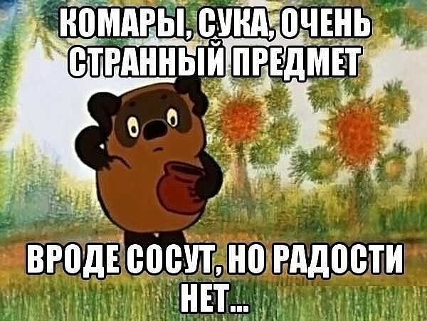 Вини