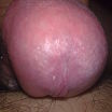sex