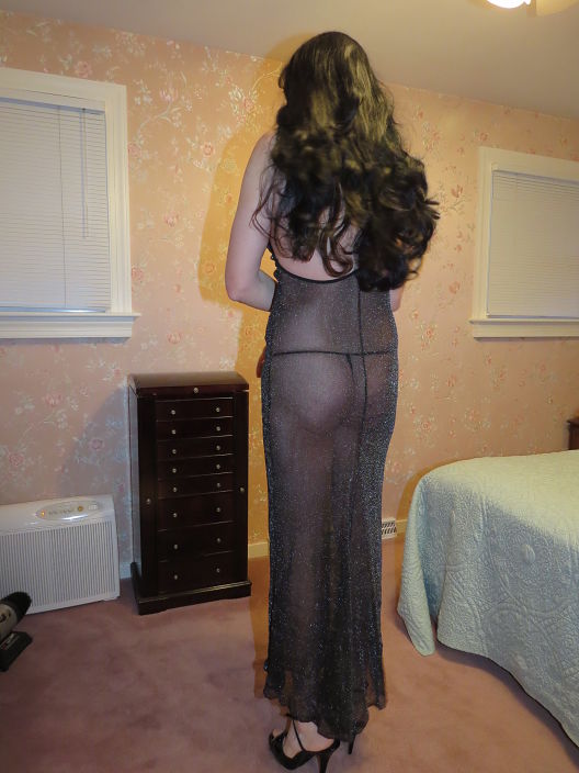 Black Sheer Long Dress