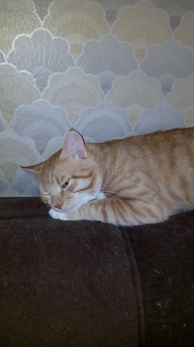 милый и ласковый