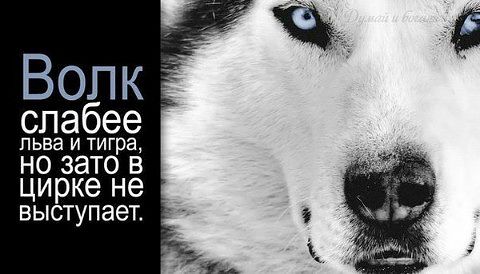 личное