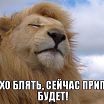 припев