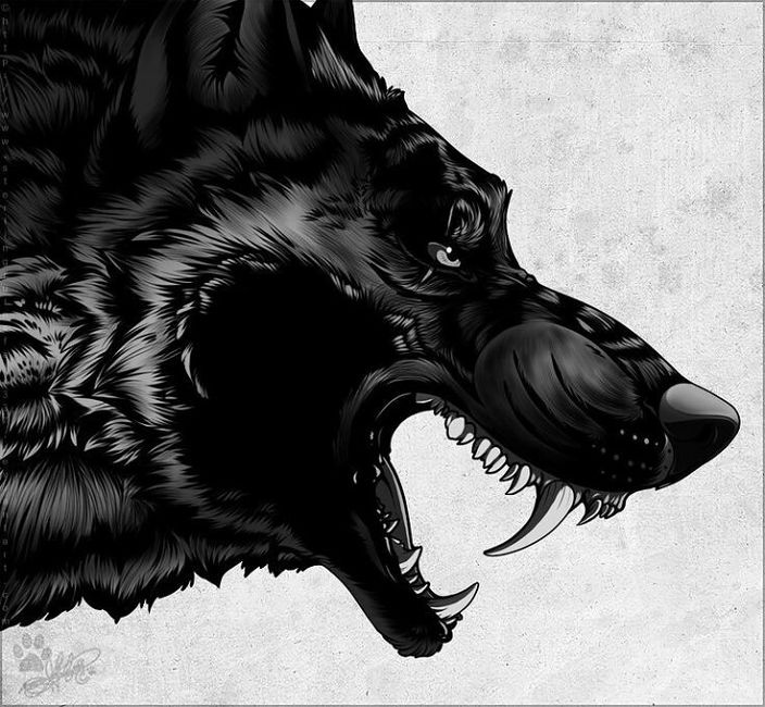 Wolfcloak