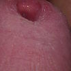 sex