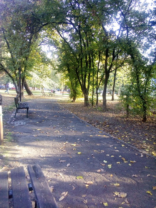 прогулка
