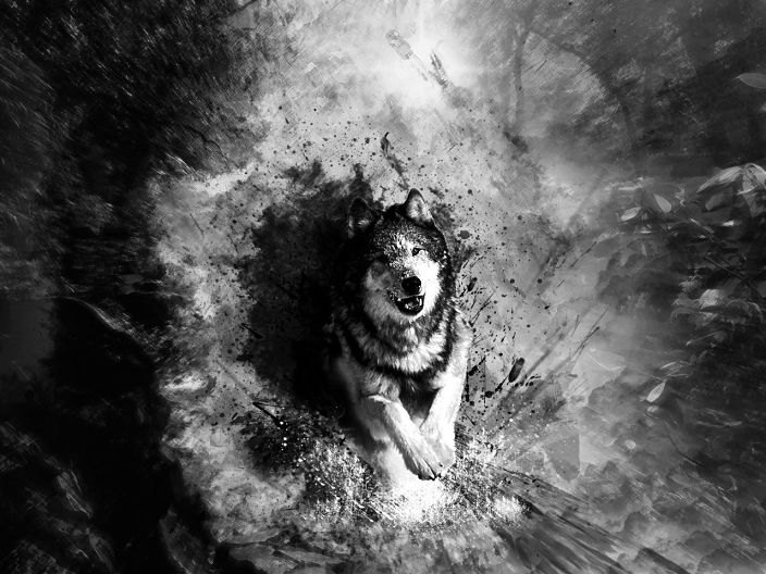 Wolfcloak
