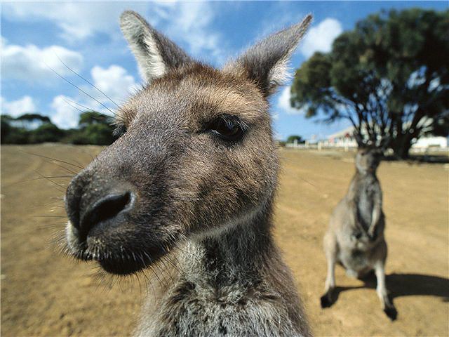 яяяяяяяяяя