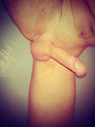 всем привет