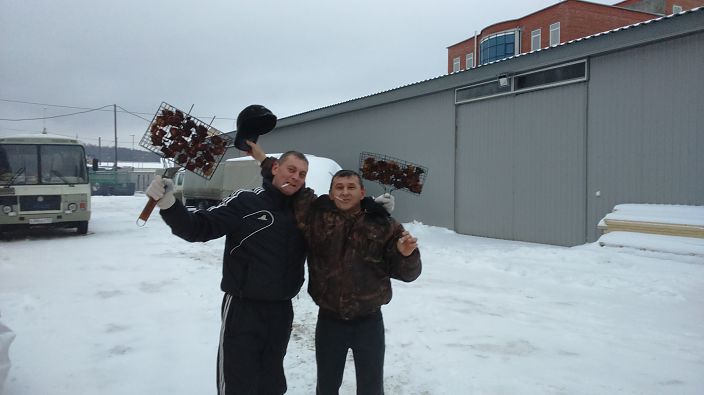 какой нахуй заголовок