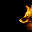 Wolfcloak