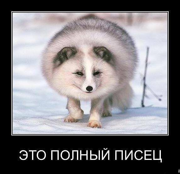 да это я