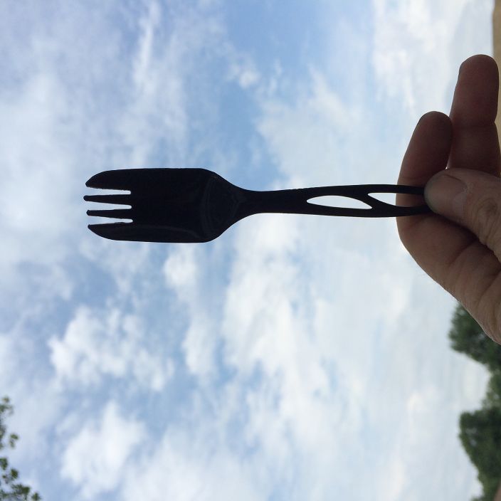 Spork
