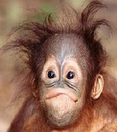 что поделаешь-какой есть