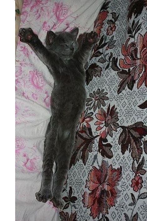 ЯЯЯЯЯЯЯЯЯЯЯЯЯЯЯЯЯЯЯЯ