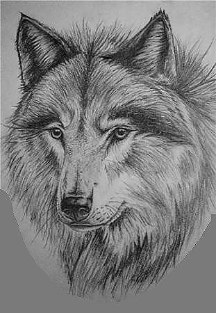 Wolfcloak