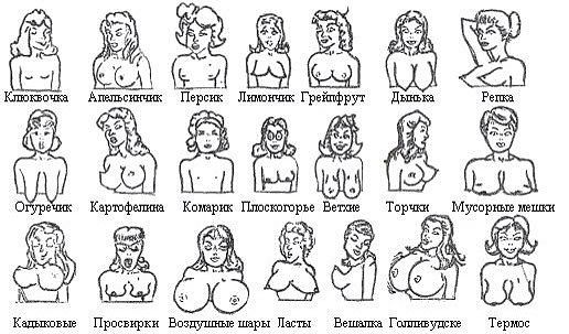 у кого какая ?