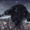 Wolfcloak