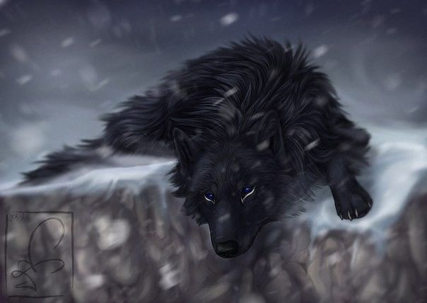 Wolfcloak