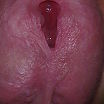 sex