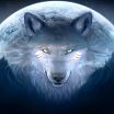 Wolfcloak