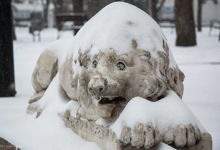 в Николаеве