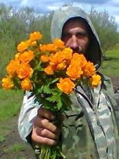 МВИ