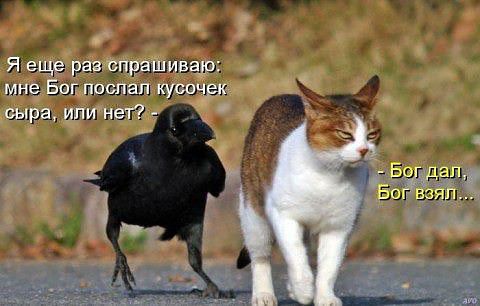 Заголовок