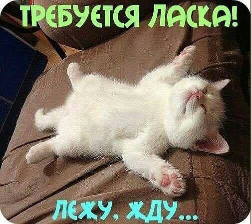 окоро