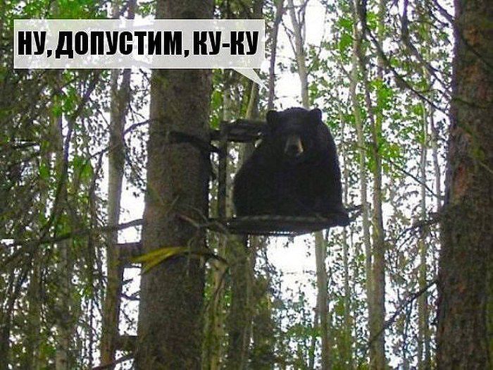 ку-ку
