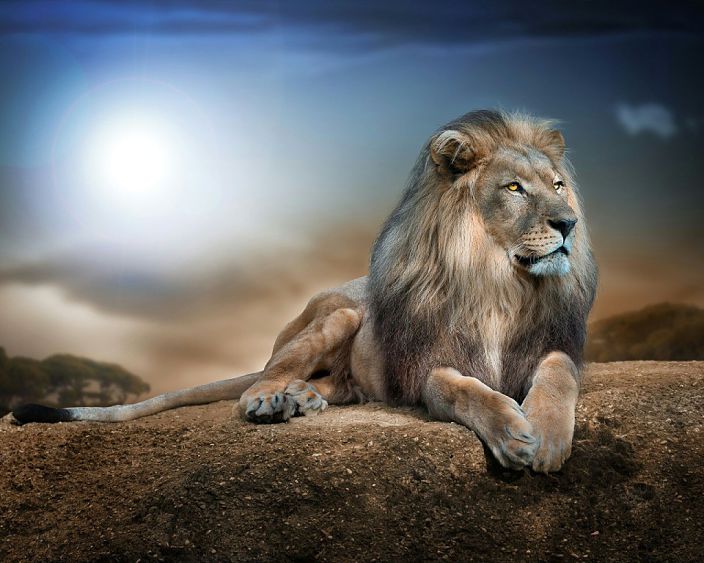 обожаю вирт