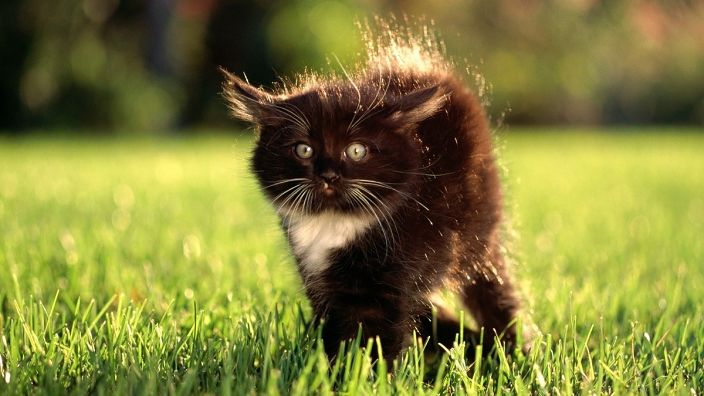 Личные фото