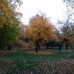 в Николаеве