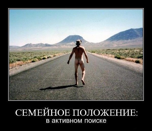 В поиске