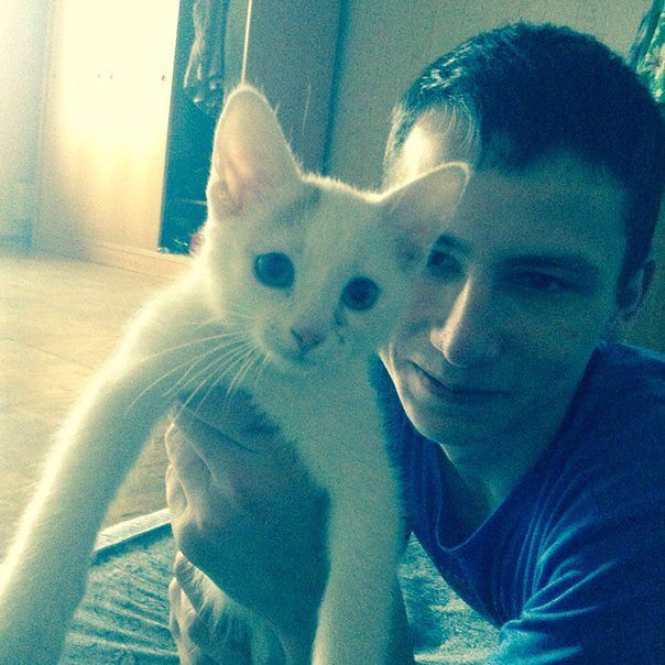 .                                  ............