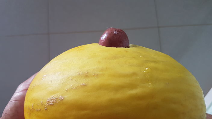 Pussy Melon