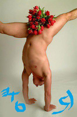 Где ты сладкая