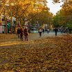 в Николаеве