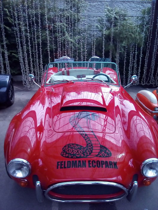 Покатаемся