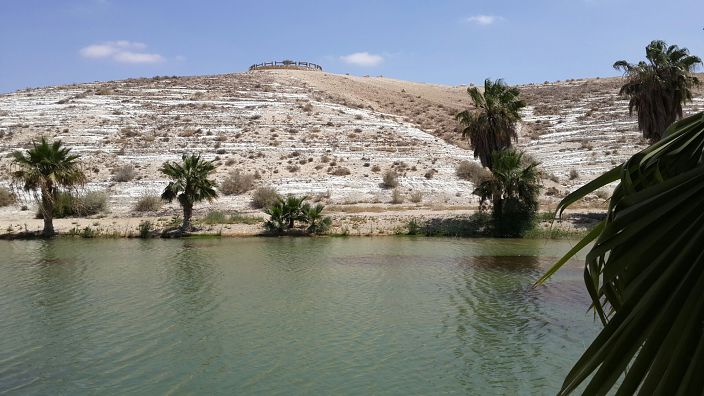 נעיםםםם