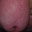 sex