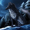 Wolfcloak
