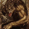 Wolfcloak