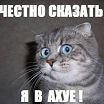 Познакомлюсь