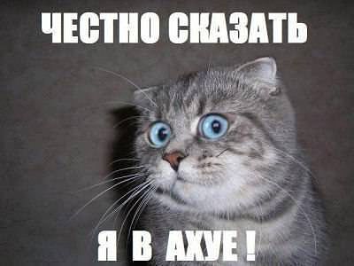 Познакомлюсь