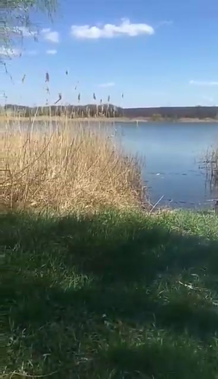 Отдых